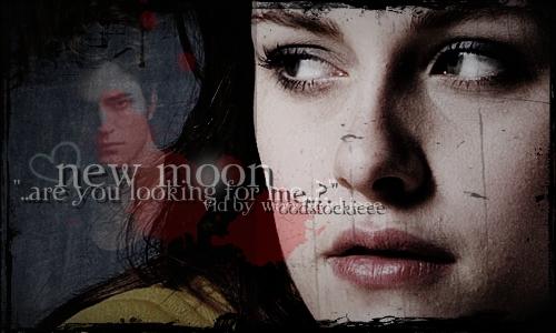 needbanner2_58222ce.jpg