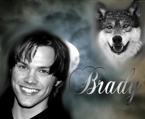 brady_0dce211.jpg
