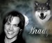 brady_0dce211.jpg