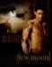 NewMoon3newmoon6077516500650.jpg