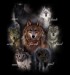 ThePack.jpg
