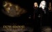 caiusvolturiNewMoonWallpapertwilightseries789104919201200.jpg