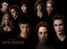 Cullens_by_Mistify24.jpg