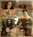 New_Moon_poster_3_by_FilmFanaticFrances.jpg