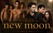 newmoonposterwallpaperwolfpack.jpg