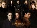 volturis_07538fb.jpg